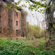 Illustration for article titled Exploring the Decaying Ruins of Brother Island, NYC's Last Unknown Place